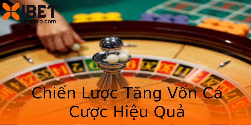 Chiến Lược Tăng Vốn Cá Cược Hiệu Quả Chiến Lược Tăng Vốn Cá Cược Hiệu Quả